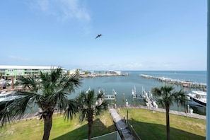 Un port de plaisance avec des bateaux amarrés, un ciel dégagé et des palmiers.