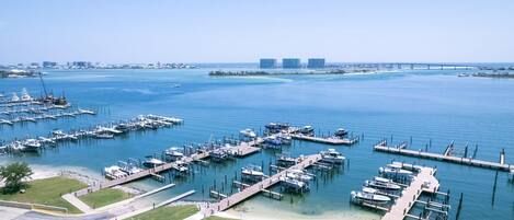 Condo, Multiple Beds (Phoenix On The Bay 1108) | Marina