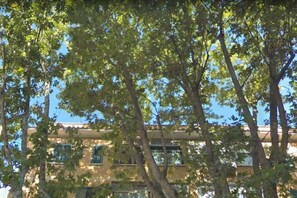 Stunning multi-story building with modern architecture and a flat roofline, set amidst lush green surroundings.