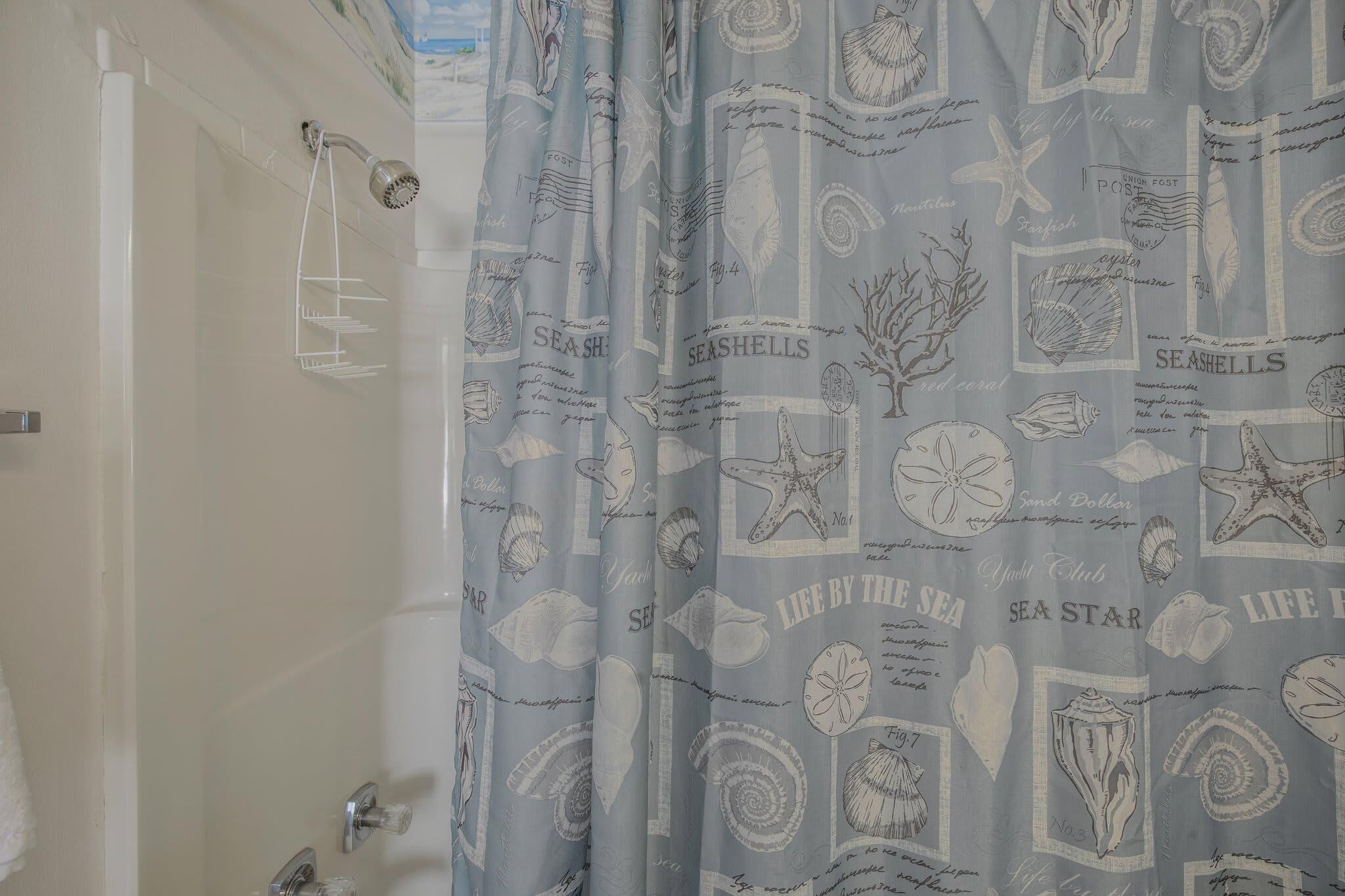 Une salle de bain avec un rideau de douche orné d’un motif marin, comprenant des coquillages et des étoiles de mer.