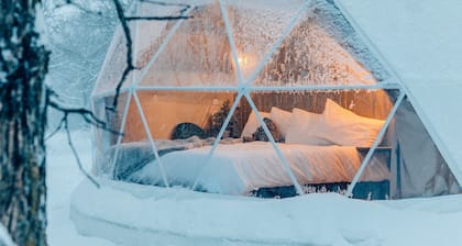 Oak Haven Oasis ~ Dome 1