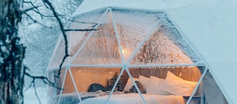 Oak Haven Oasis ~ Dome 1