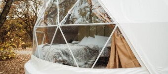 Oak Haven Oasis ~ Dome 1