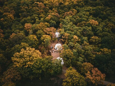 Oak Haven Oasis ~ Dome 2