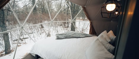 WiFi, bed sheets
