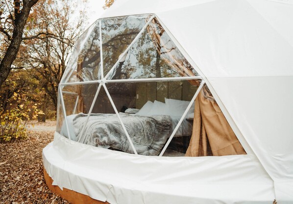 Una tienda en forma de domo geodésico con una cama en su interior, rodeada de árboles.