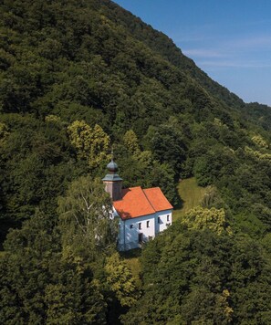 Exterior - A cozy and luxurious house with a pool beneath mount Donačka gora. (Rogatec)