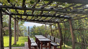A pergola with wooden benches and a table, surrounded by lush greenery and a clear view of the mountains in the background. - A cozy and luxurious house with a pool beneath mount Donačka gora. (Rogatec)
