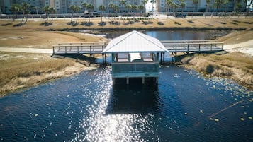 Condo, 1 King Bed with Sofa bed (Grand Caribbean in Perdido Key 111E) | Property grounds