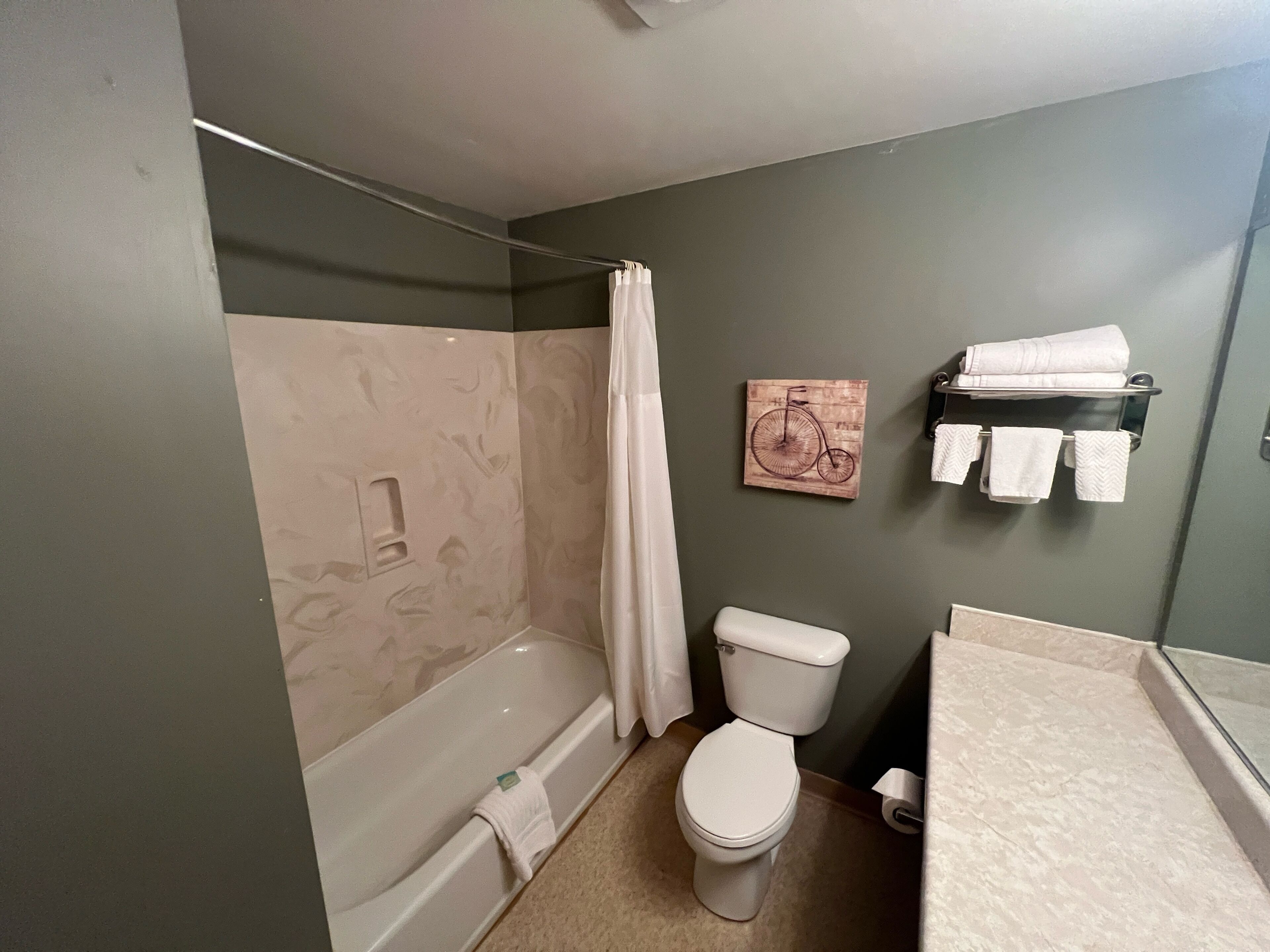 A bathroom with a bathtub, toilet, and a shower curtain.