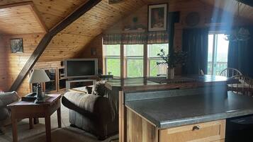 TV, fireplace, DVD player