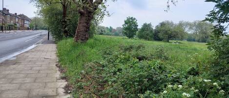 Lägenhet | Boendeområde