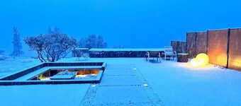 Sequoia in Horizon by Yosemite