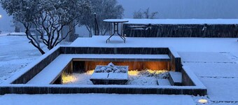 Sequoia in Horizon by Yosemite