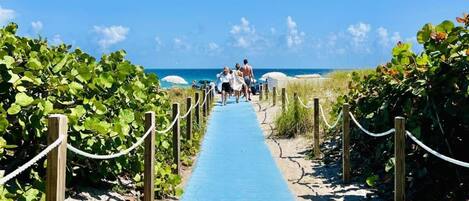 Sun-loungers, beach towels