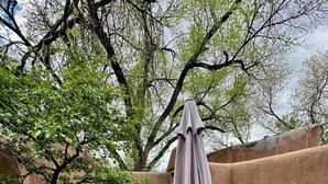 A patio with a round metal table and four chairs, an umbrella, and a small tree. - Elegant casita in the middle of Santa Fe's historic Canyon Road district  (Santa Fe)