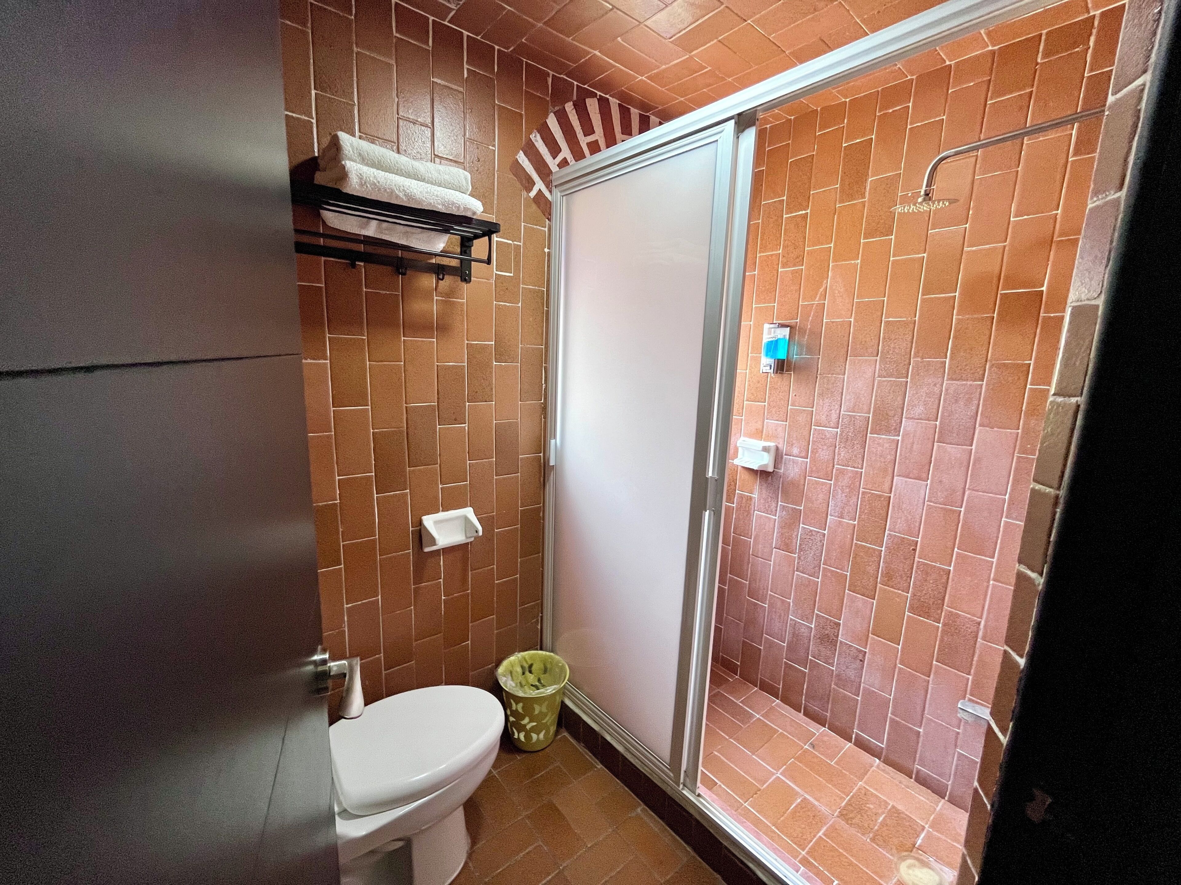 Un baño con inodoro, ducha con puerta de cristal, toallero y cubo de basura.