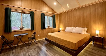 Bear Cabin 2 in Tok Alaska