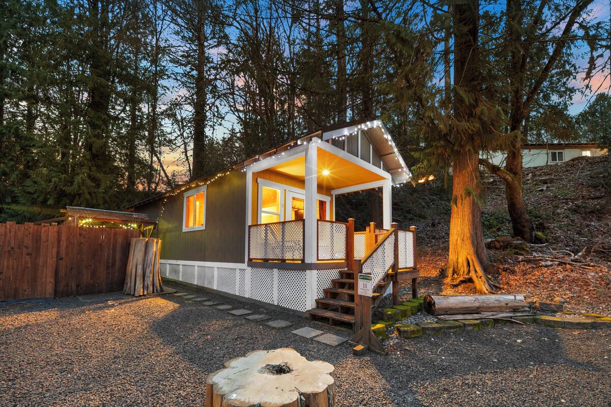 Cabin 11