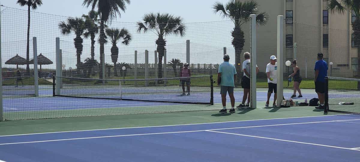 A tennis court with a net, palm trees, and a building in the background.