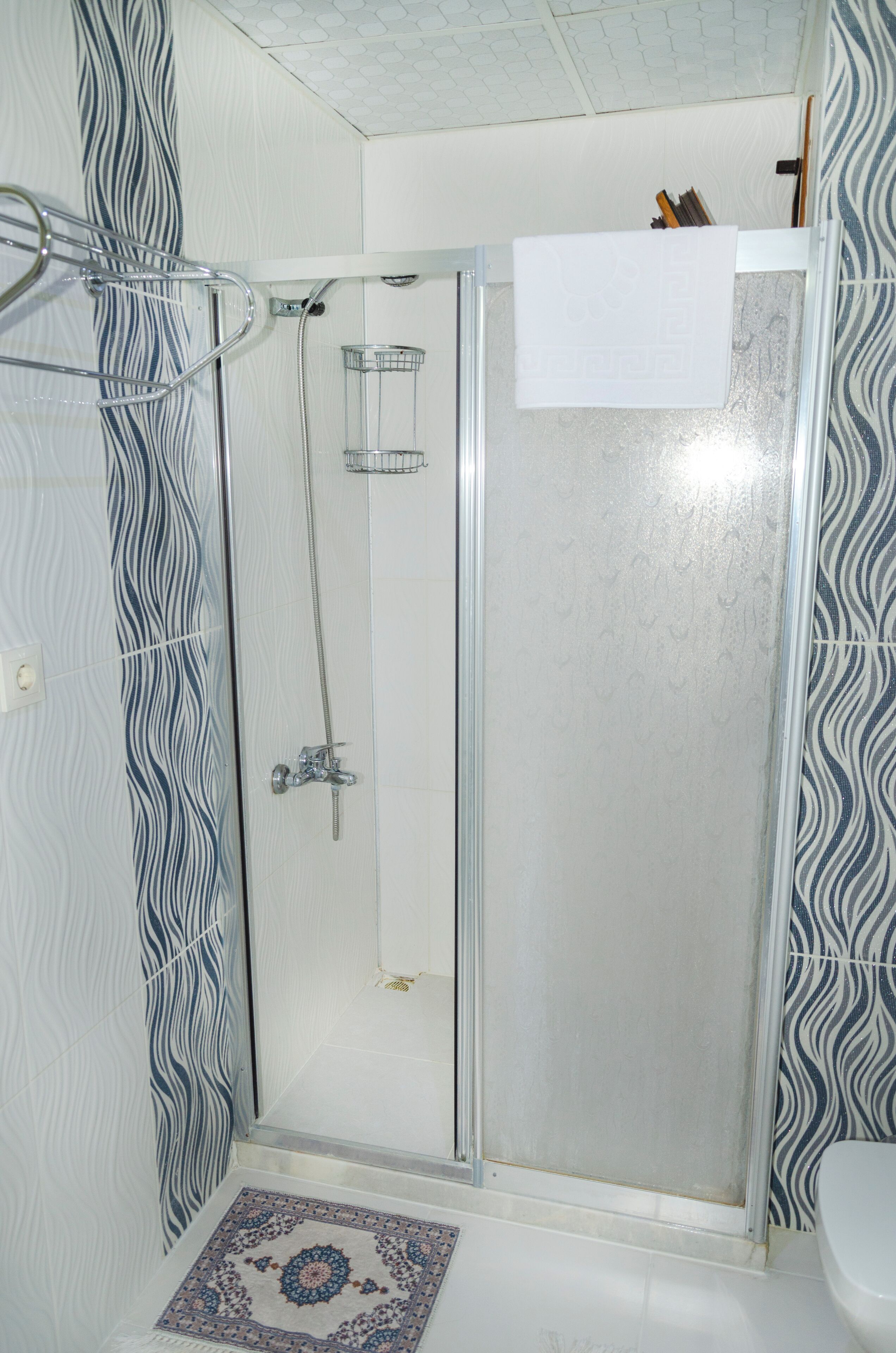 A shower with a glass door, a towel rack, and a shower head.
