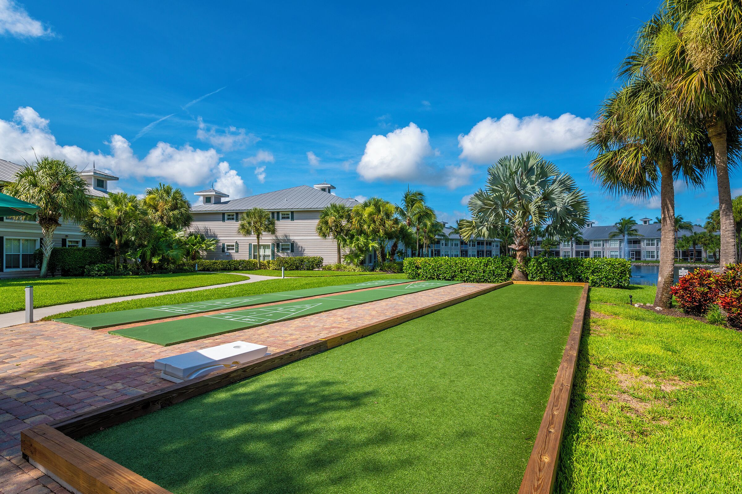 A croquet field with a wooden border, surrounded by well-maintained grass and palm trees.