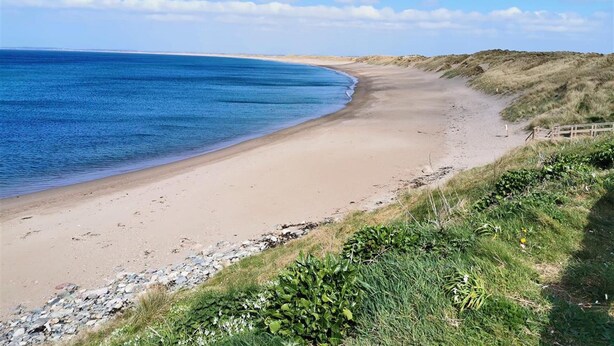 Cottage | Beach - Inviting 2-bed Cottage in Kilmore Quay (Kilmore)