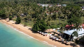 Vista aérea de una playa con palmeras, una orilla arenosa y edificios al fondo.