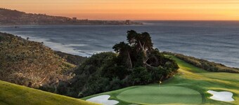 Luxury Apartment in upscale area