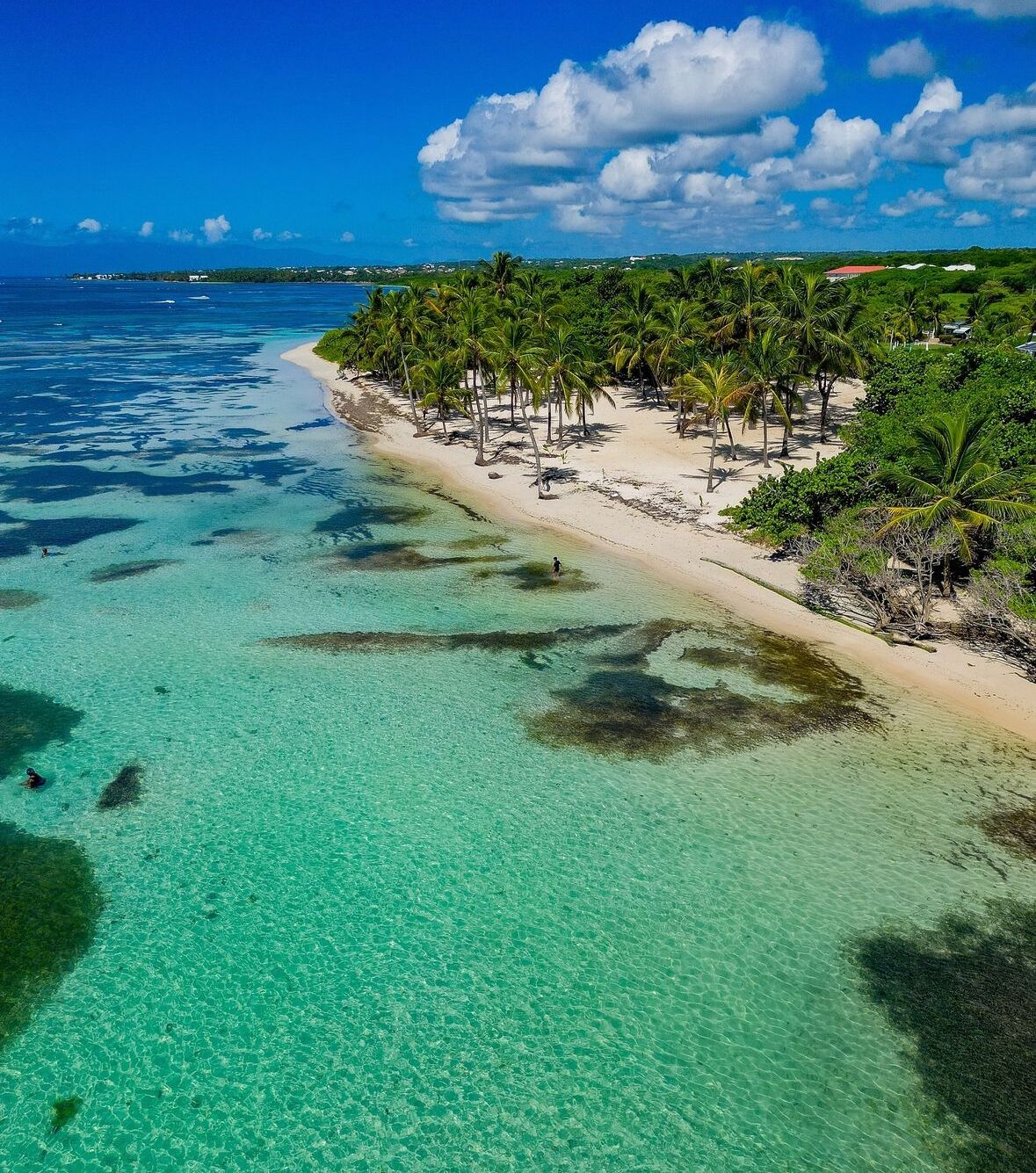 Beach nearby, white sand