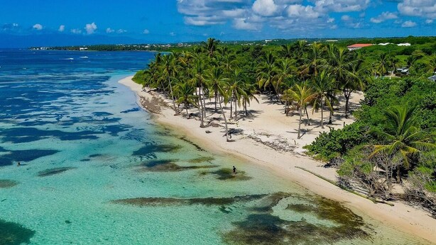 Een strand met helder turquoise water, palmbomen en een uitgestrekt uitzicht op een gebouw met rode daken.