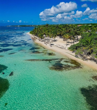 靠近海滩、白沙
