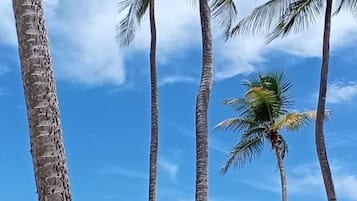 Pantai di sekitar dan pasir putih