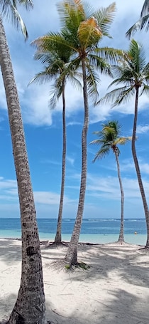 Beach nearby, white sand