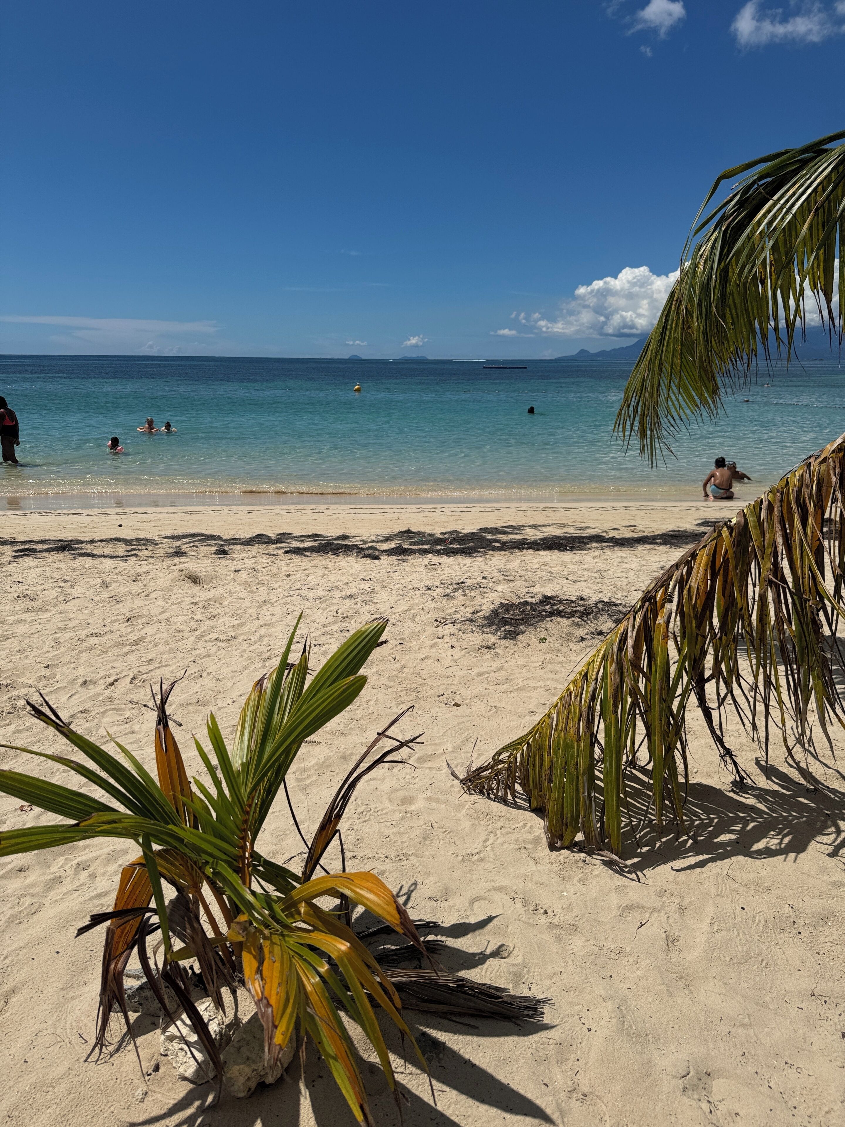 Pantai di sekitar dan pasir putih