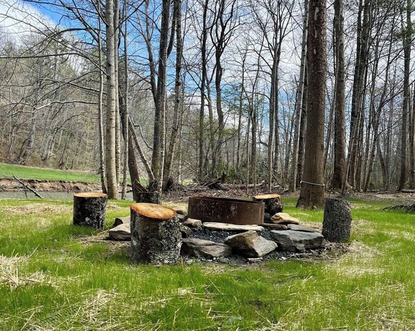 A forest clearing with a rustic fire pit surrounded by logs and stones.