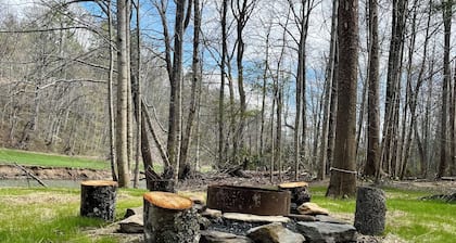 Spirit of the River, Direct River Access, Fire Pit, Fish, Swim, Grill, WiFi!
