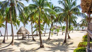 Relax in shaded seating areas surrounded by tall palm trees and enjoy the peaceful seaside views.