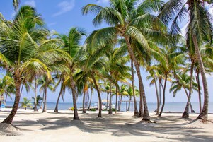 Deluxe eenpersoonskamer, en-suite badkamer, uitzicht op strand (Beach Front 2nd Floor) | Exterieur