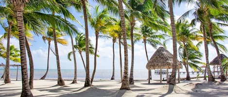 Deluxe Single Room, Ensuite, Beach View (Beach Front 2nd Floor) | Exterior