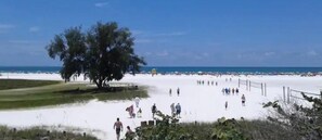 Beach - Best Area-Arlington Park -Best Home New Listing ! (Sarasota)