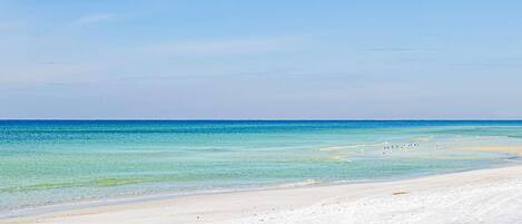 House, Multiple Beds (If It's The Beaches) | Beach