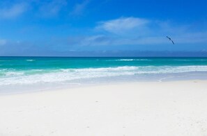Condo, várias camas (Laketown Wharf 1829) | Praia | Na praia 