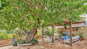 Zona d'estar a l'aire lliure coberta, amb paret de pedra, un arbre gran i diverses plantes en testos.