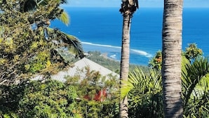 Tropisch landschap met palmbomen en uitzicht op de oceaan.