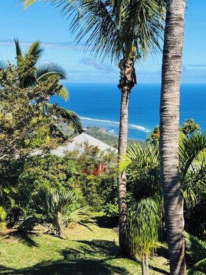 Property grounds - Villa Samaé, Tropical charm in the south-west of Reunion Island (Les Avirons)