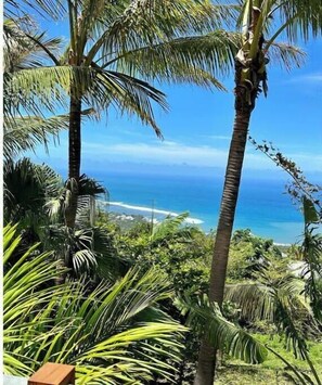 Beach/ocean view