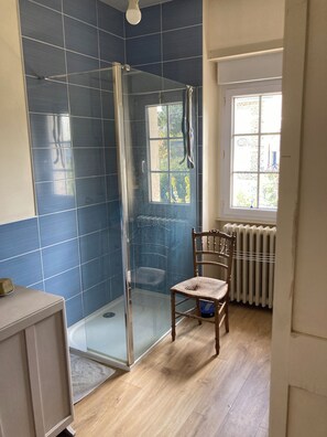 Shower, hair dryer, soap, toilet paper