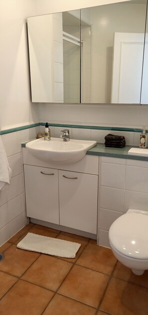 Hårtørrer, håndklæder, Sæbe, Toiletpapir