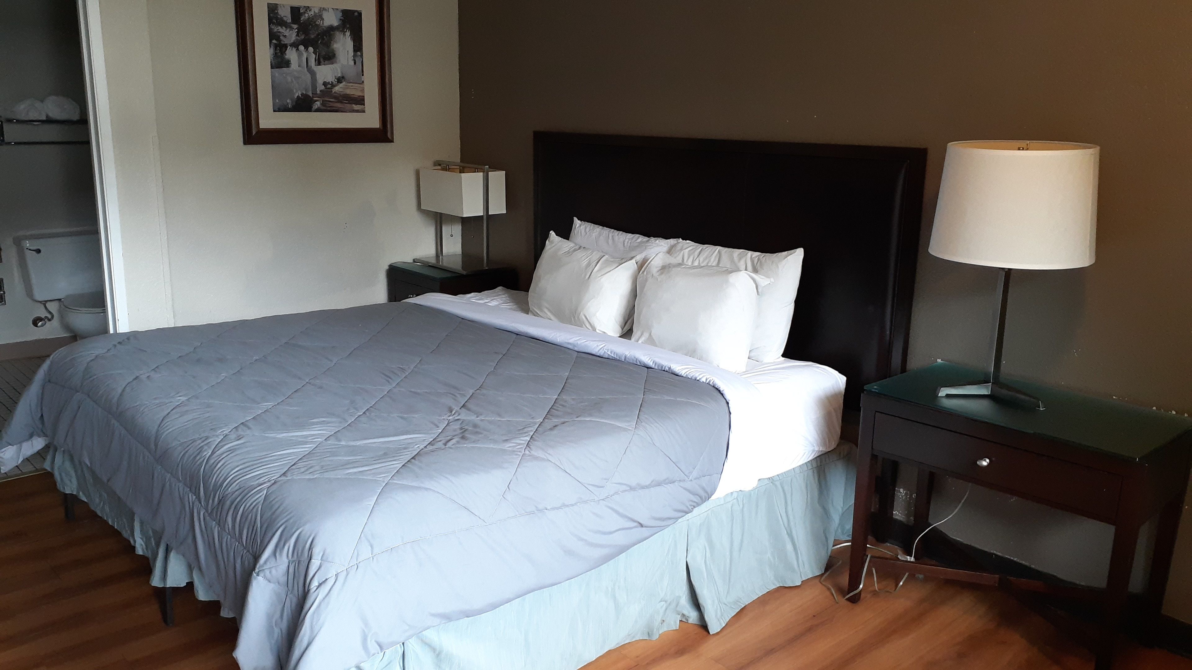 A hotel room with a large bed, a bedside table with a lamp, and a framed picture on the wall.
